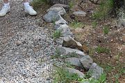 139 - Maligne Canyon, Medicine Lake, Maligne Lake - IMG_1227